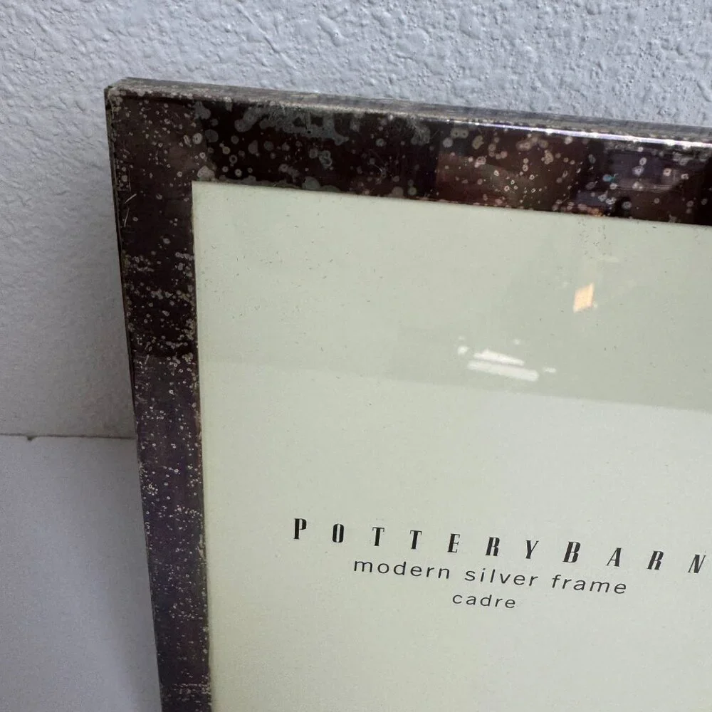 Pottery Barn Silver Stainless Steel Frame 